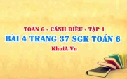 Bài 4 trang 37 SGK Toán 6 tập 1 Cánh Diều